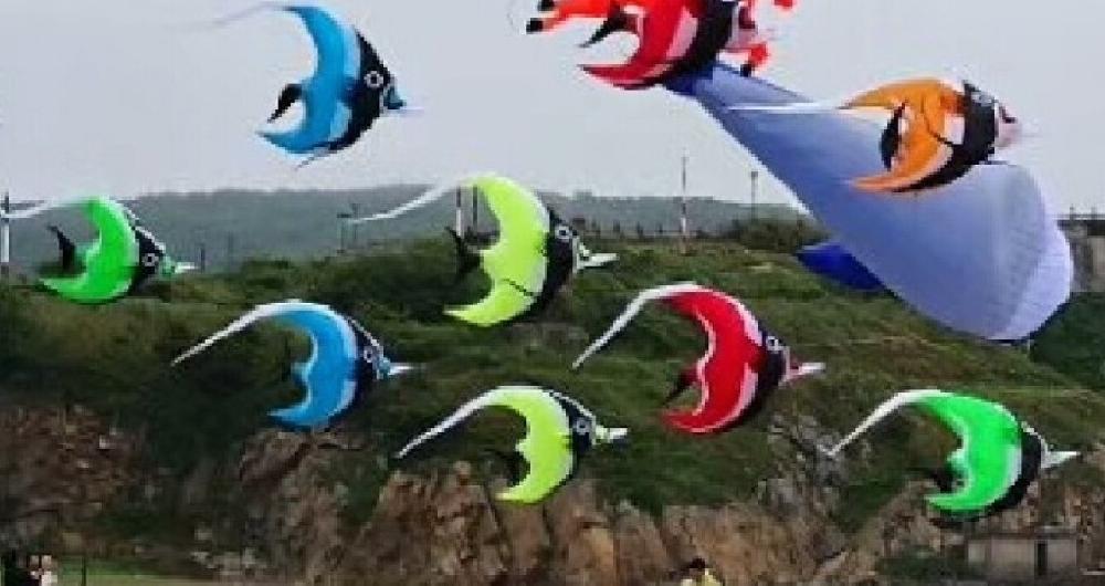 Large kites ripstop cerf volant vlieger ο ū ,..